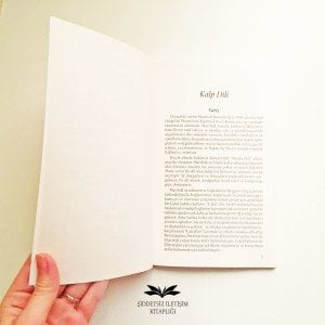 Şefkatle Öğretmek